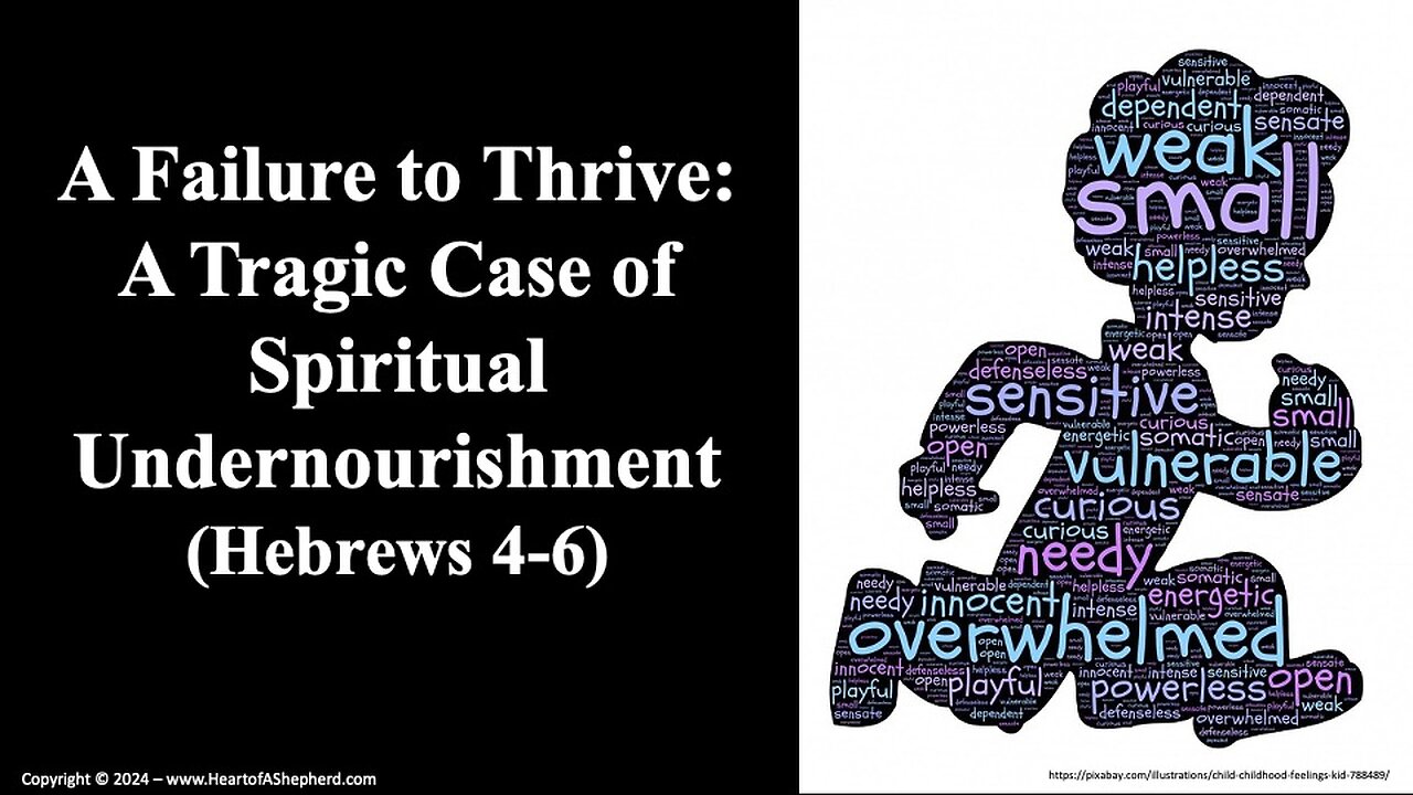 A Failure to Thrive: A Tragic Case of Spiritual Malnourishment (Hebrews 4-6) - A daily Bible study.