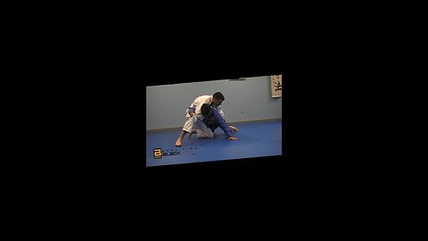 Turtle defense bjj