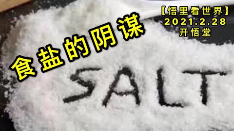 KWT1198食盐的阴谋20210228-7【悟里看世界】