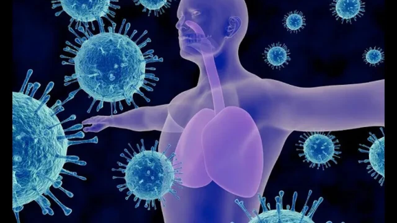 질병예찬, 베르트에가르트너, 현대의학 진실, 면역력 향상의 비밀, 열, 체온, 면역세포, 림프절, 감염, 체온, 어린이, immume, 자가면역질환, 아토피, 류머티스관절염