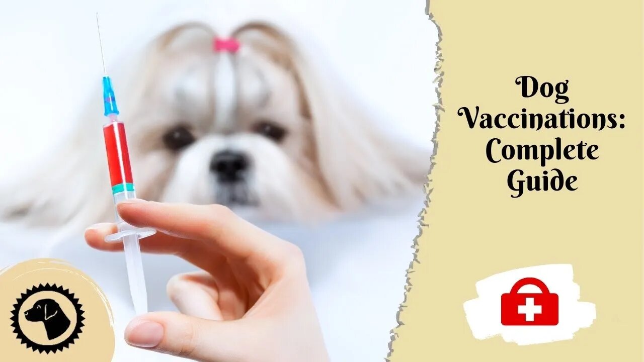 Dog Vaccinations: A Complete Guide | DOG HEALTH 🐶 #BrooklynsCorner