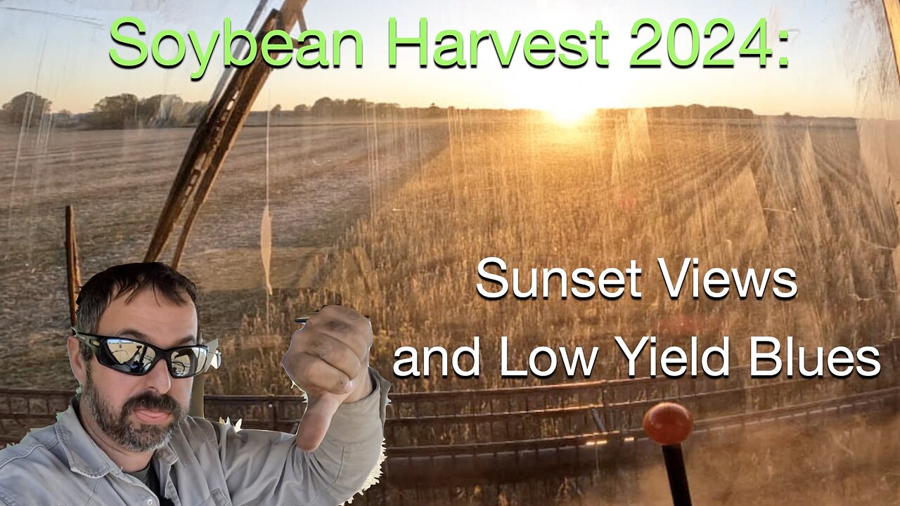 Soybean Harvest 2024: Sunset Views and Low Yields