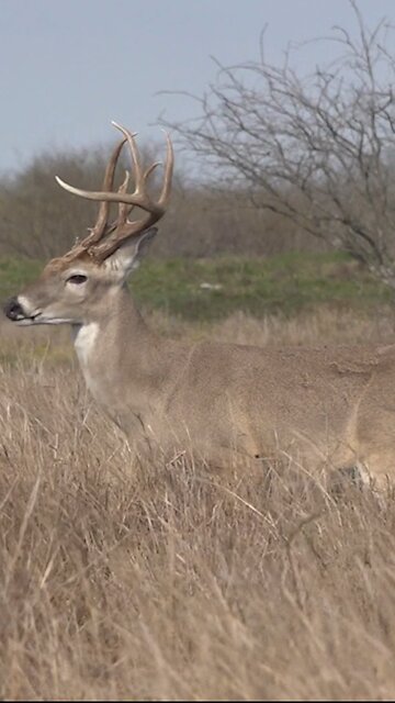 That drop! 😳 #quick