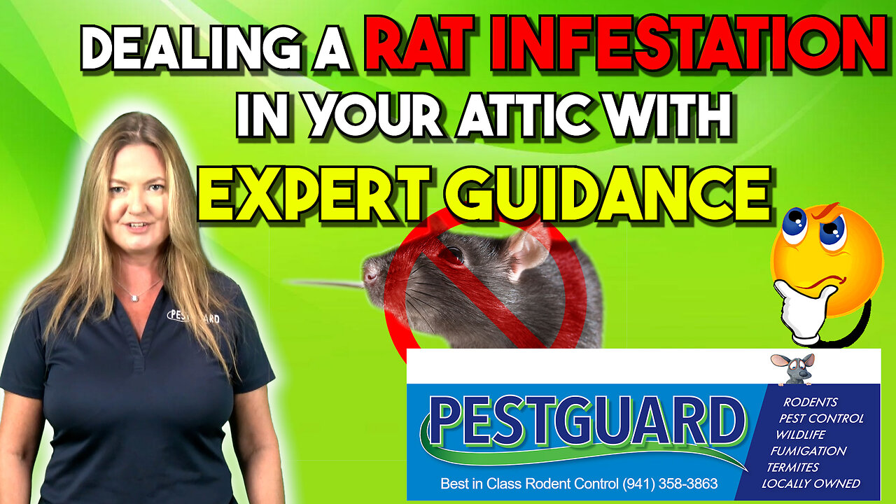 🏠🚫 PestGuard's Pest-Free Attic Paradise: Unveiling the Secret to Florida's Critter-Free Haven! 🌴🐀