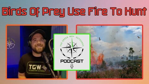 Birds Of Prey Use Fire To Hunt - The Green Way Outdoors Podcast Clips