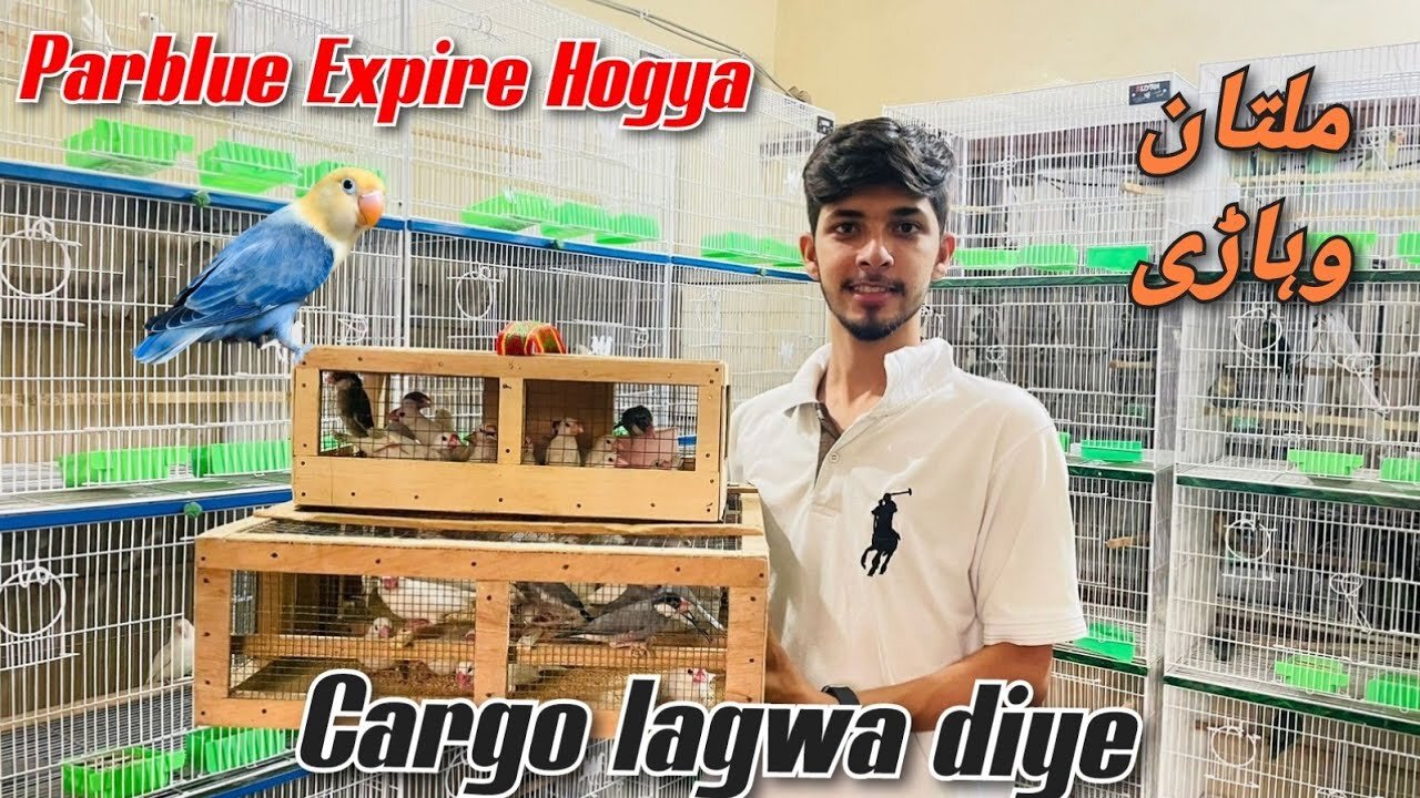 Cargo Lagwa Diye | Parblue Split Ino Expire Hogaya 🥺 | Multan Or Wehaari Ka Cargo