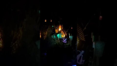 The nigh garden