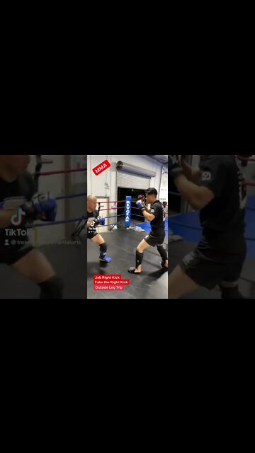 Jab Right Kick into an Outside Leg Trip