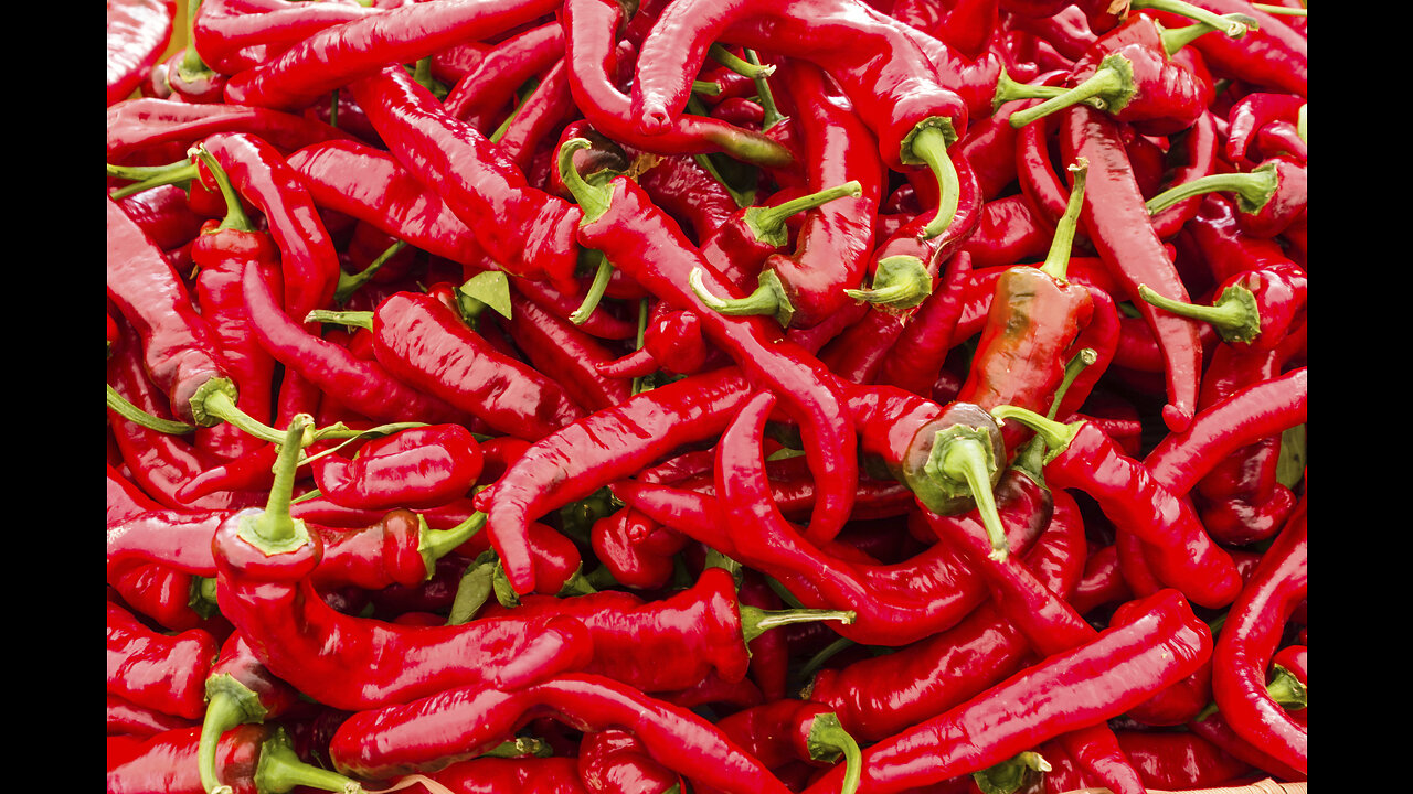 Cayenne (Capsicum annuum)