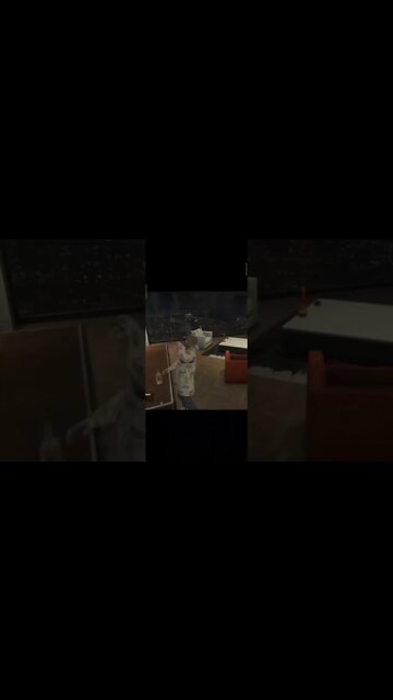 GTA V Online Dps de um dia cheio #shorts #gta