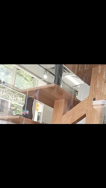 NO TALKING. Crazy Crowded Friday. 🐦🤠☔