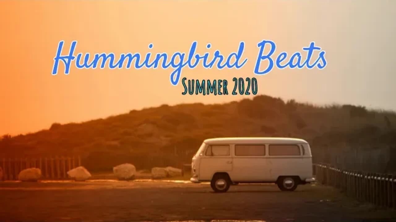 Nobody — Theo Dor (No Copyright Music)