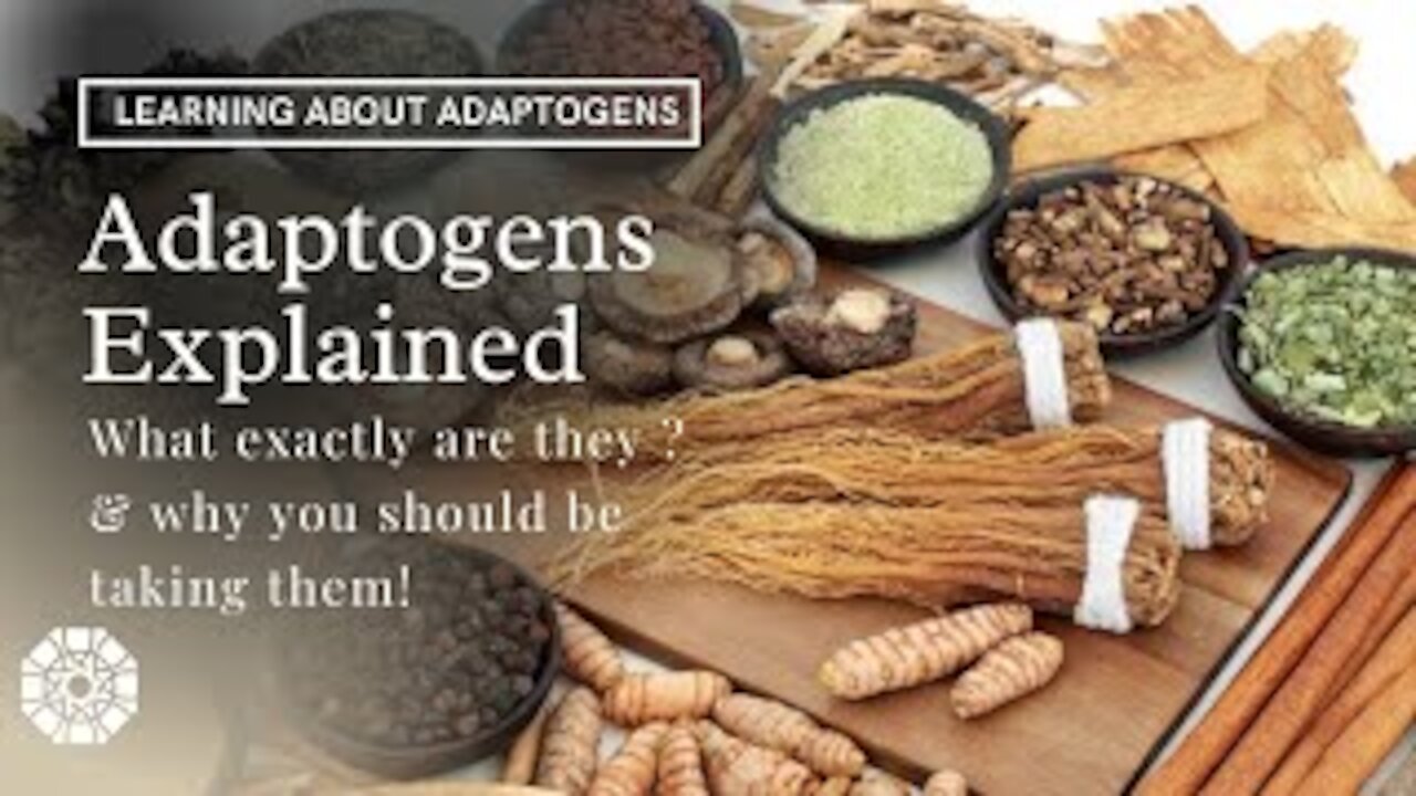 What are adaptogens? Adaptogens Explained | Best type of adaptogens for you