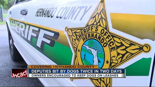 Second dog attack on a Hernando deputy within days