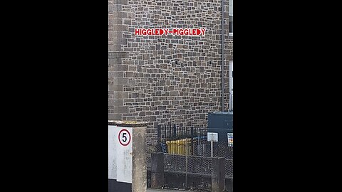 Contrasting the walls of St. John's Hall, Penzance