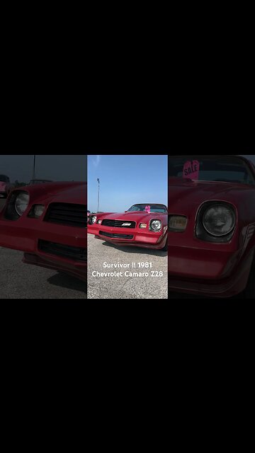 #classiccarsforsale #chevrolet #camaroz28 #camaro #classiccars #car #classic #classicchevy