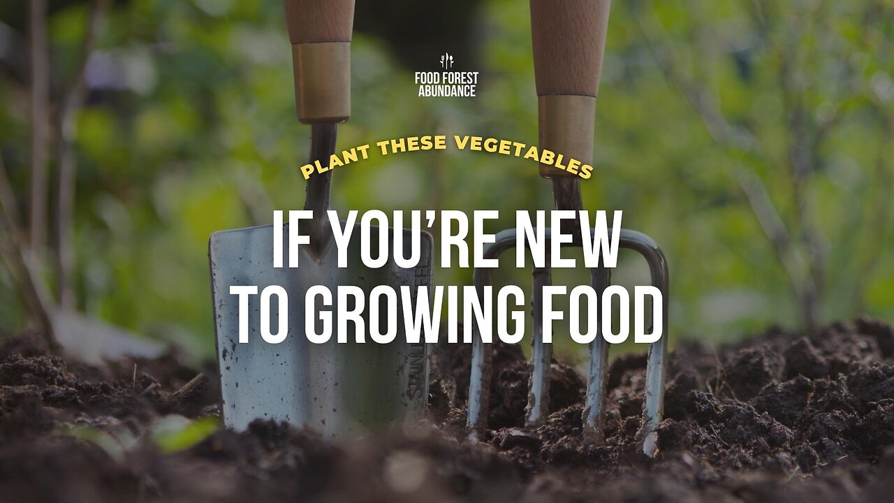 Plant these vegetables if you're new to growing food