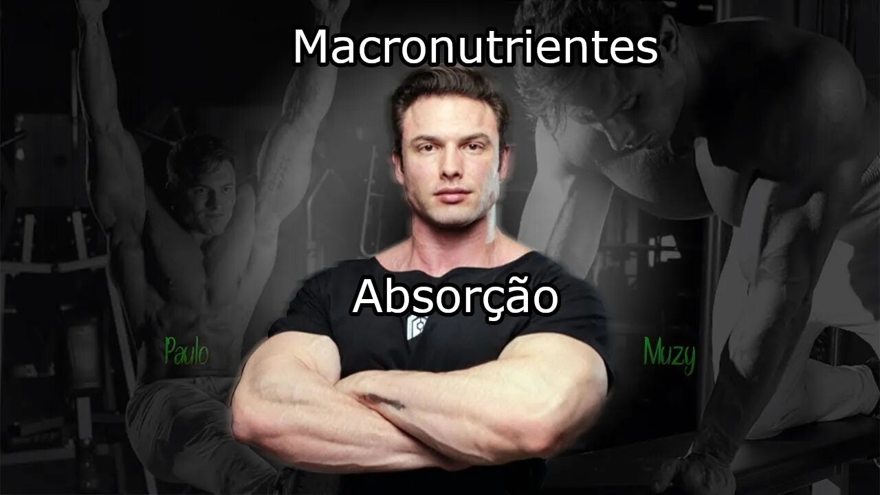 Absorção de macronutrientes