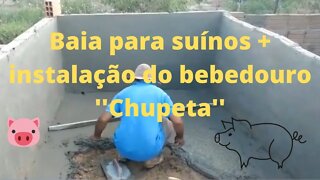 Baia para suínos mostrando a construção e instalação da chupeta bebedouro dos porcos - Chiqueiro