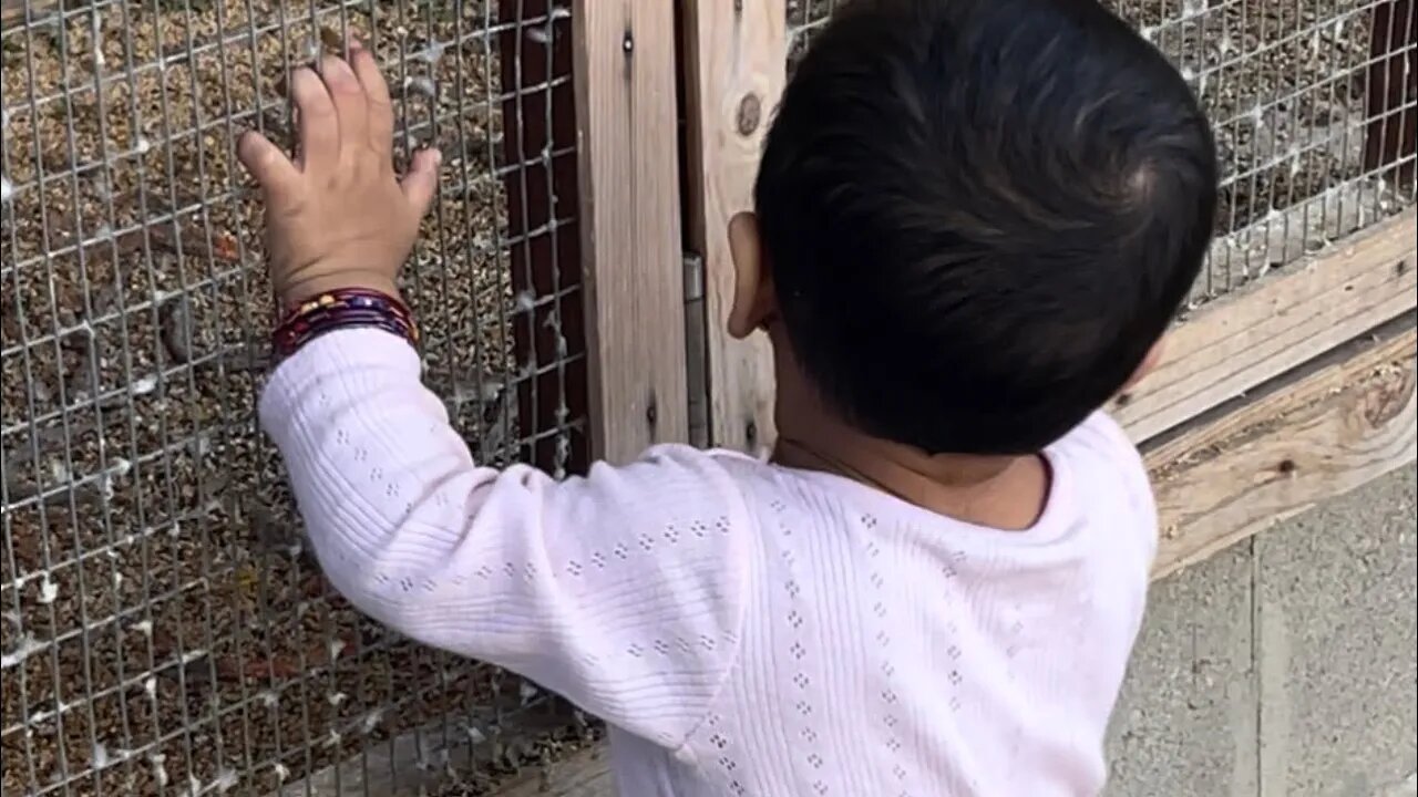 ￼ Adorable baby ￼playing with birds