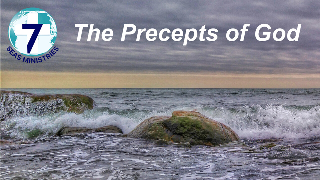 The Precepts of God