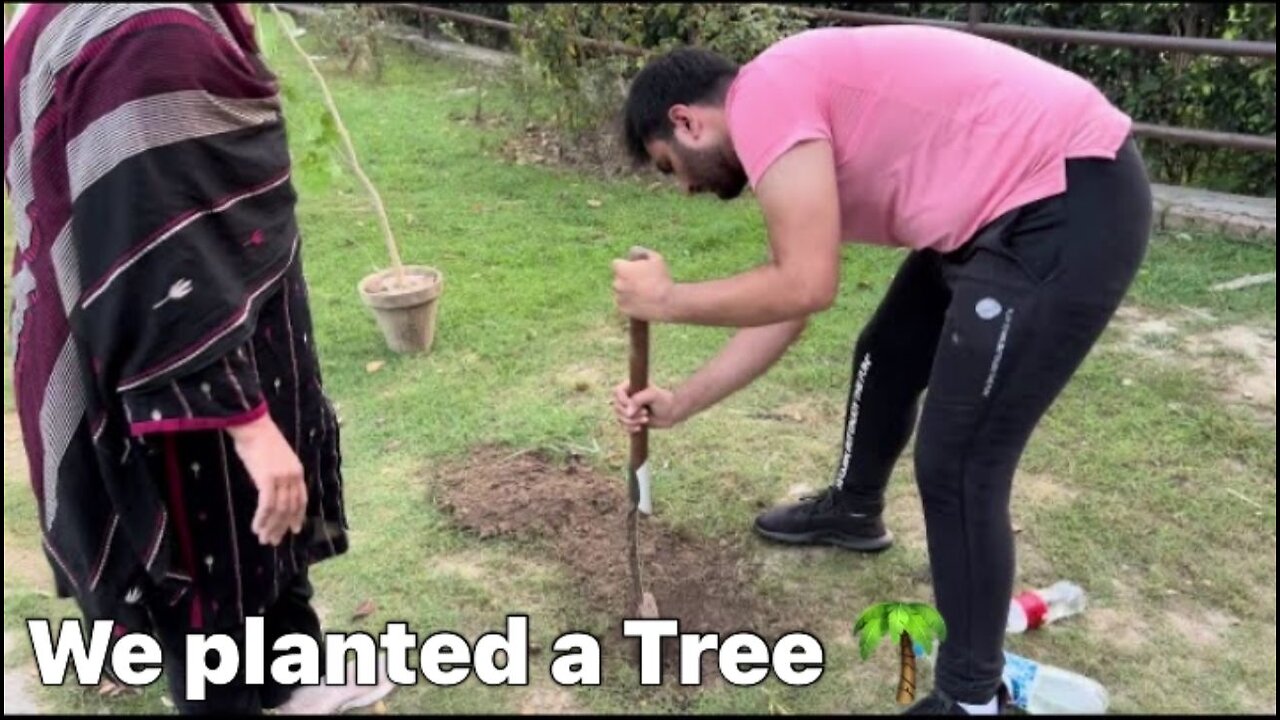 We Planted a Tree