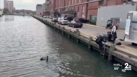 Firefighters rescue people out of water after car goes into Inner Harbor