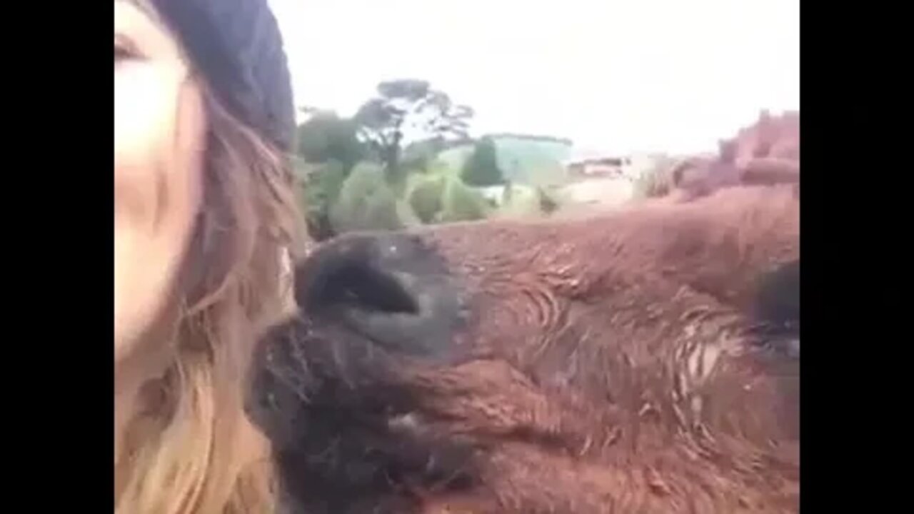 Not without me!