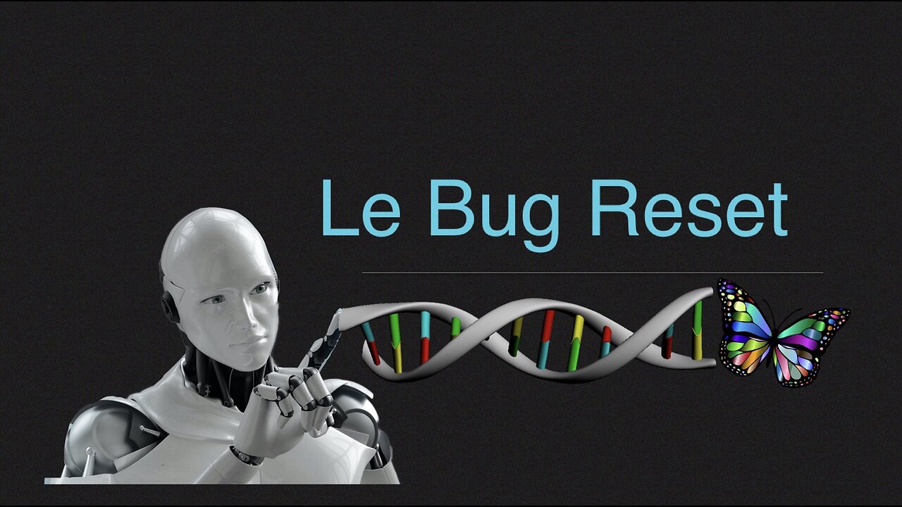 Le Bug Reset