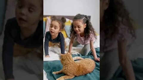 KUCING LUCU #PART 16