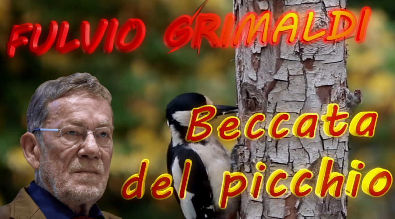 “ Beccata del Picchio “ Rubrica di geopolitica a cura del giornalista Fulvio Grimaldi - Puntata n. 3