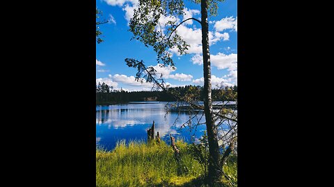 While we wait out the rains, we admire the colors of summer in atmospheric photographs💚