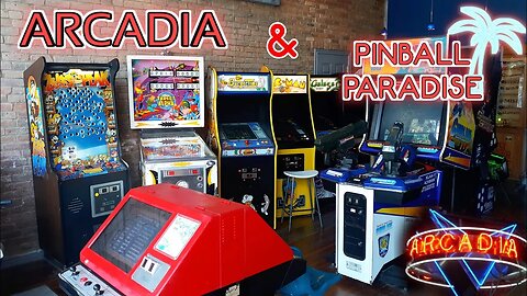 Arcadia: America's Playable Arcade Museum, and Pinball Paradise in McLean, Illinois.