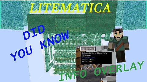 Minecraft LiteMatica (Did You Know) Info Overlay