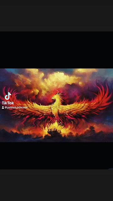 Patriot Princess ❤️🤍💙