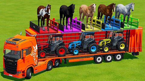 LOAD & TRANSPORT ANIMALS IN CAR VIDEOS 🐄🚖