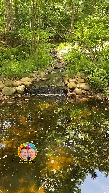 HAVE A WONDERFUL SUNDAY!