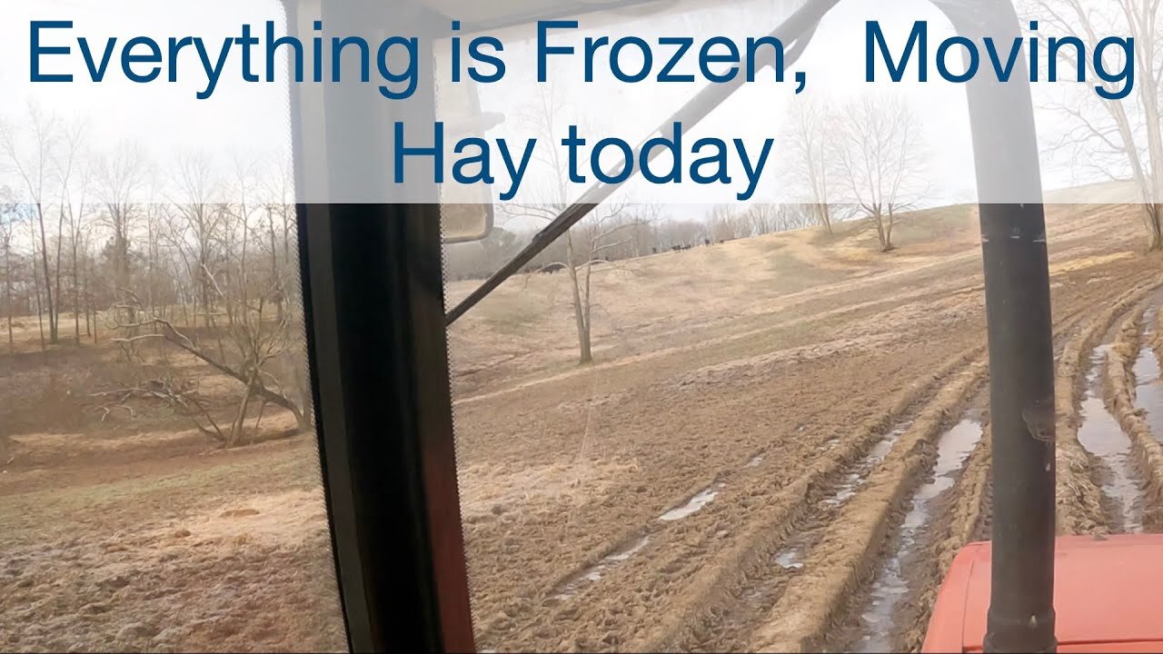 Everything is frozen, Moving Hay today