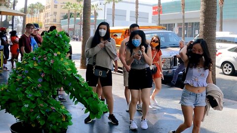 CRAZY REACTIONS WITH THE BUSHMAN PRANK | HOLLYWOOD