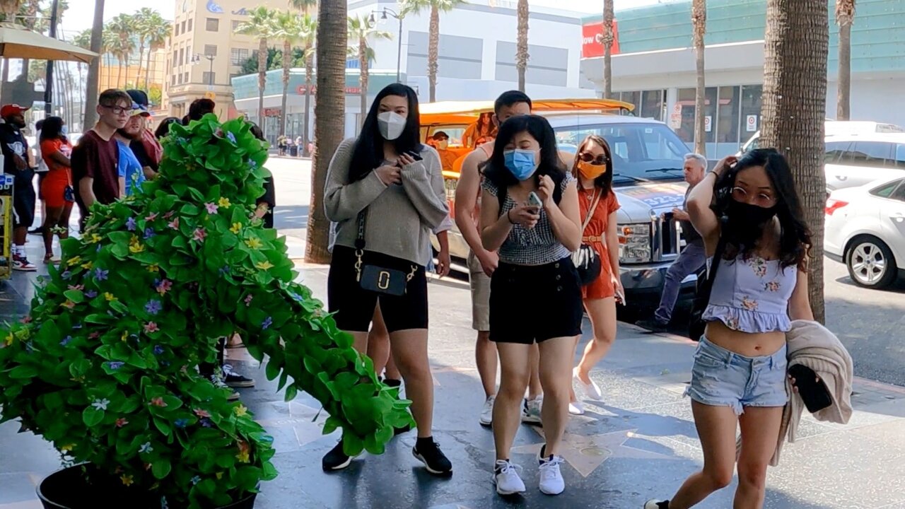 CRAZY REACTIONS WITH THE BUSHMAN PRANK | HOLLYWOOD