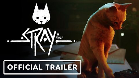 Stray - Official Xbox Release Date Trailer | Annapurna Interactive Showcase 2023