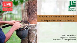 PRODUÇÃO INTEGRADA DE BORRACHA - NORMAS E TREINAMENTO DE RESPONSÁVEIS TÉCNICOS E AUDITORES