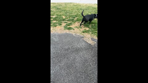 Trick time