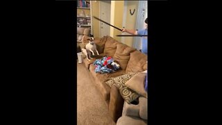 How will Princess react to poles