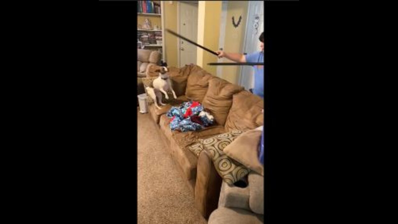 How will Princess react to poles