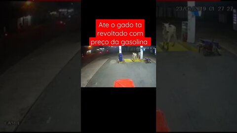 novo preço da gasolina