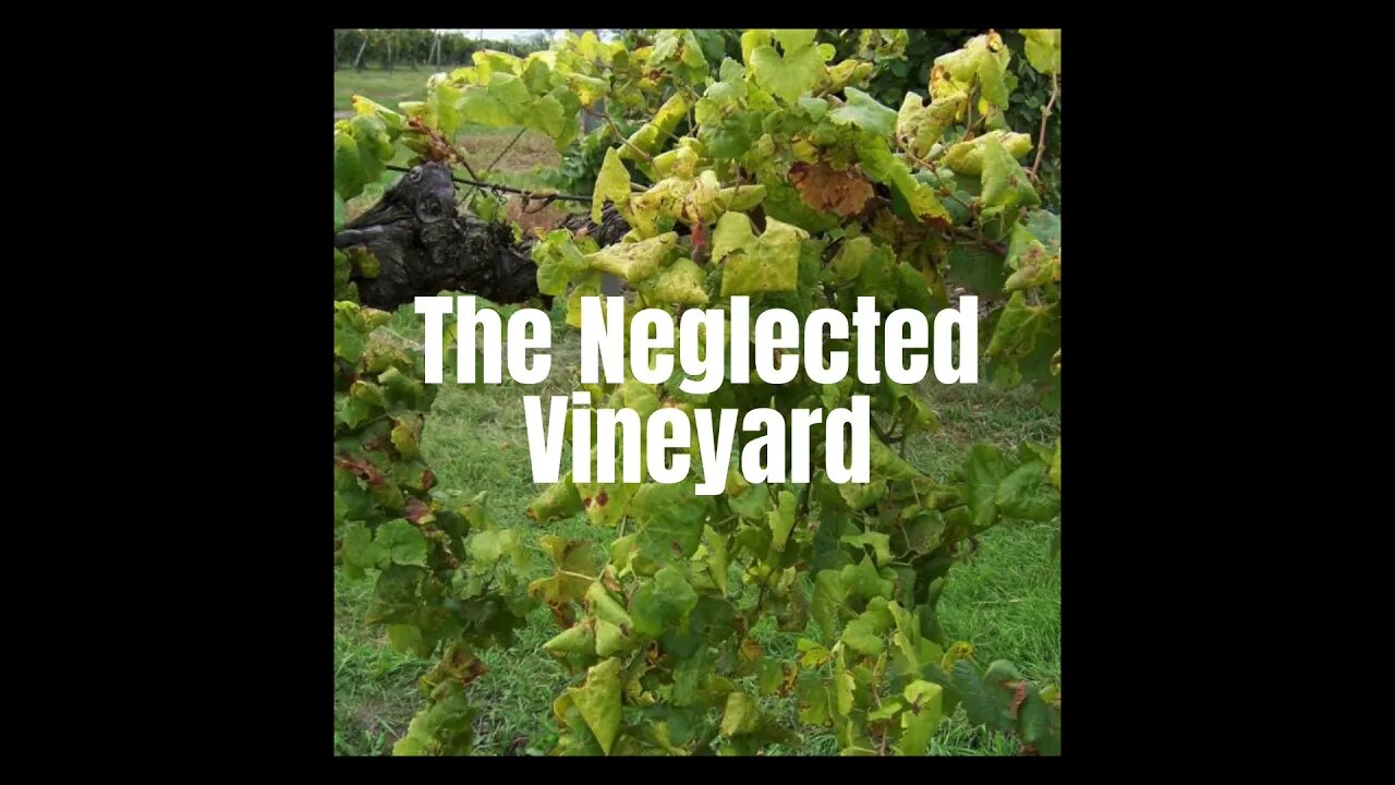 The Neglected Vineyard