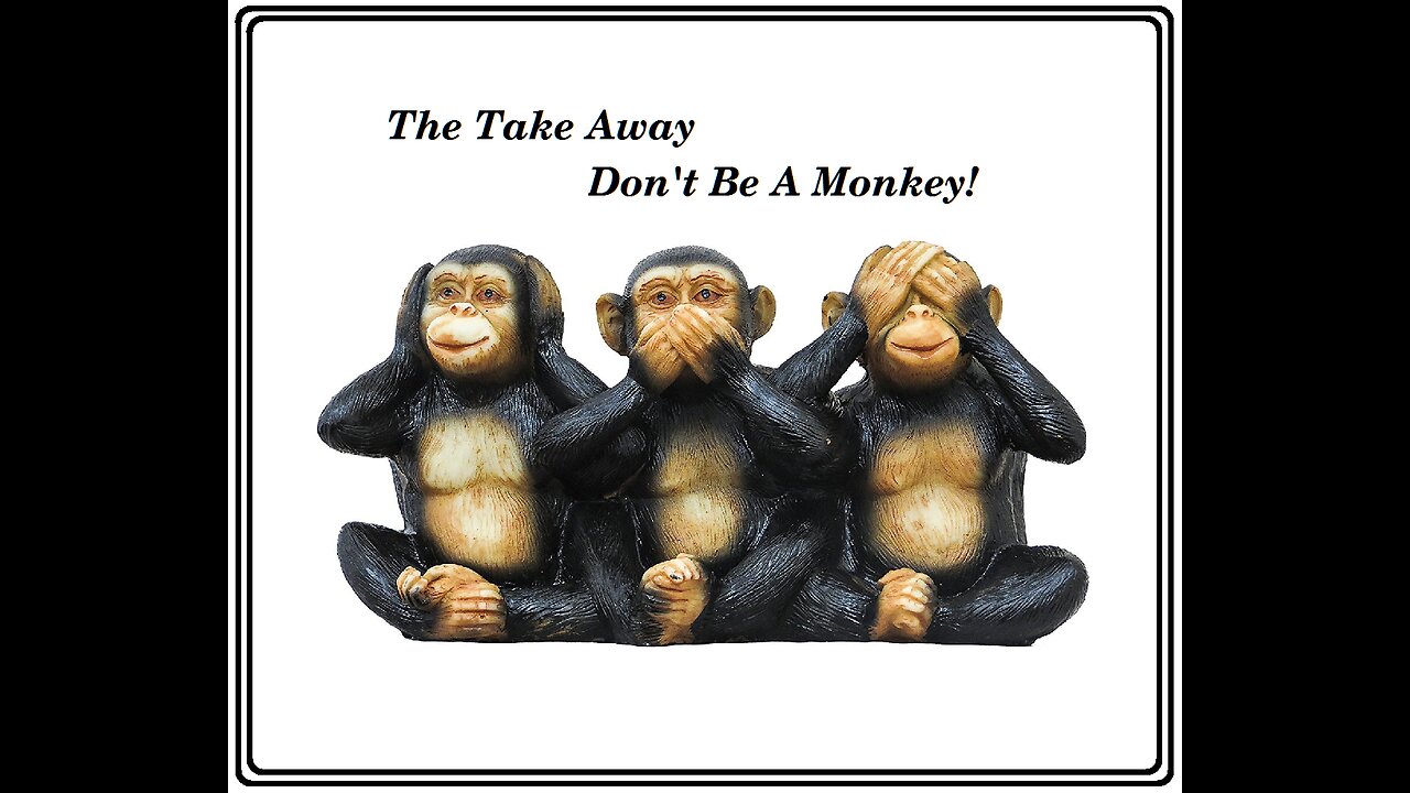 Take Away - Don't Be a Monkey