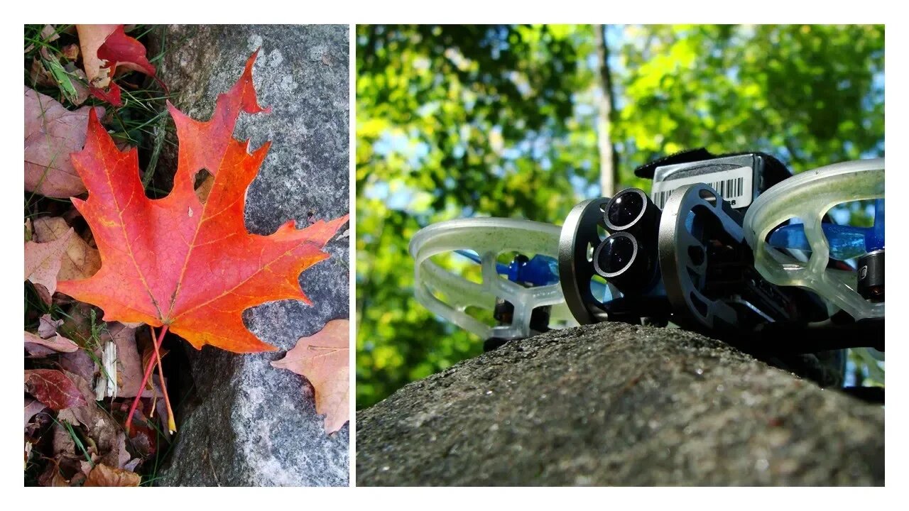 GepRC CinePro 4K Autumn Tree Flights