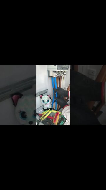 #shorts #2022 funny,prank,funjokes,dad jokes,funny memes,funny video,fun,laughing,funny animal,knock